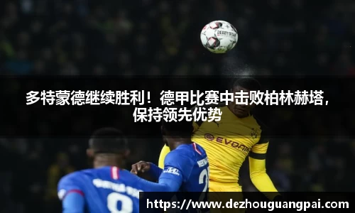 zoty中欧官方网站