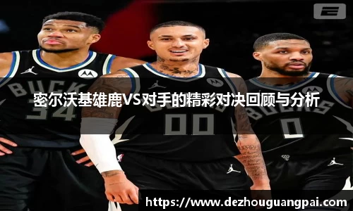 zoty中欧官方网站