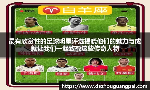 zoty中欧官方网站